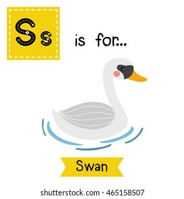 Cute children zoo alphabet S letter tracing of Swan on blue lake water for kids learning English vocabulary.  