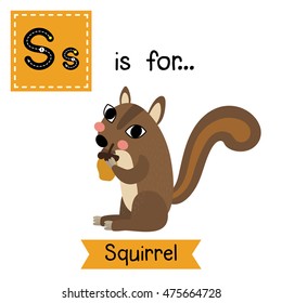 Cute children zoo alphabet S letter tracing of Squirrel holding nut for kids learning English vocabulary.  