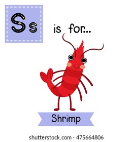 Cute children zoo alphabet S letter tracing of standing Shrimp for kids learning English vocabulary.  