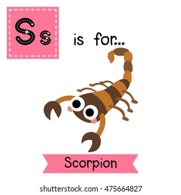 Cute children zoo alphabet S letter tracing of Scorpion for kids learning English vocabulary.  