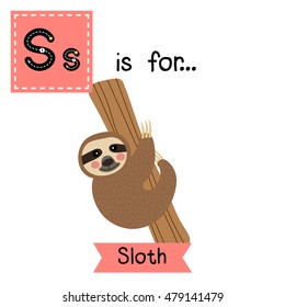 Cute children zoo alphabet S letter tracing of Three-toed Sloth hanging on tree for kids learning English vocabulary.  