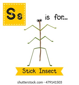 Cute children zoo alphabet S letter tracing of Stick Insect standing on two legs for kids learning English vocabulary.  