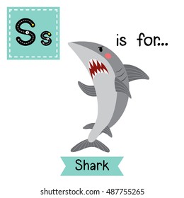 Cute children zoo alphabet S letter tracing of Angry Shark for kids learning English vocabulary.   