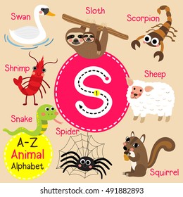 Cute children zoo alphabet S letter tracing of funny animal cartoon for kids learning English vocabulary. 