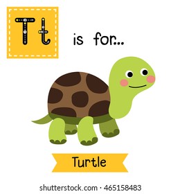 Cute children zoo alphabet T letter tracing of Turtle for kids learning English vocabulary.  