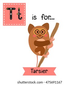 Cute children zoo alphabet T letter tracing of Tarsier hanging on tree for kids learning English vocabulary.  