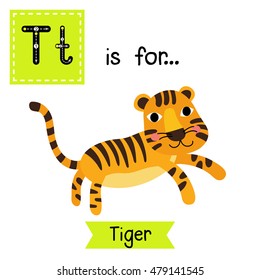 Cute children zoo alphabet T letter tracing of standing Tiger for kids learning English vocabulary.  