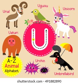 Cute children zoo alphabet U letter tracing of funny animal cartoon for kids learning English vocabulary. 