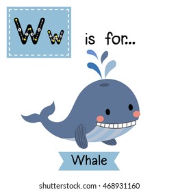 Cute children zoo alphabet W letter tracing of blue Whale with water splash for kids learning English vocabulary.  