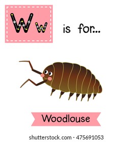 Cute children zoo alphabet W letter tracing of Woodlouse for kids learning English vocabulary.   