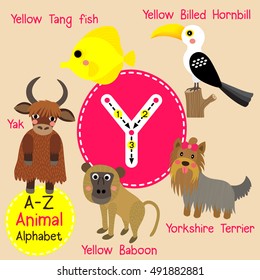 Cute children zoo alphabet Y letter tracing of funny animal cartoon for kids learning English vocabulary. 