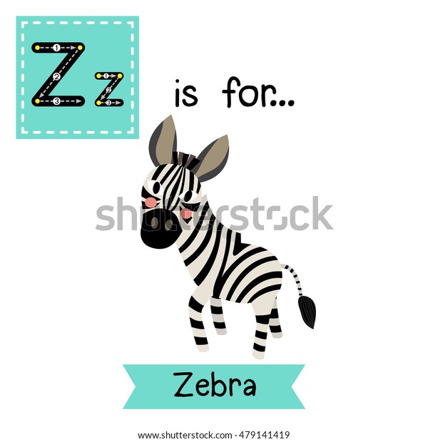 Cute children zoo alphabet Z letter tracing of Zebra for kids learning