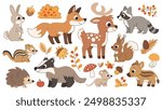 Cute childrens forest animals set. Autumn forest animals and elements. Deer, fox, raccoon and other animals.