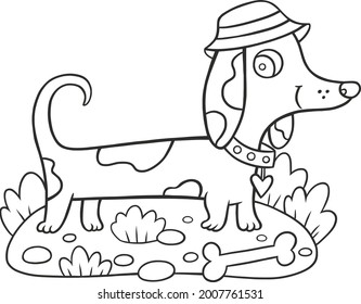 cute children's illustration coloring book dachshund in a hat