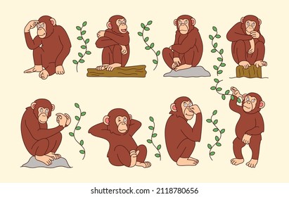 Cute chimpanzee cartoon with funny pose. Primate animal icon illustration, isolated on premium vector