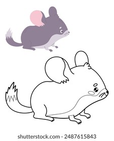 Cute chinchilla. Outline and color cartoon kawaii animal rodent character. Line drawing, coloring book. Vector illustration. Kids collection