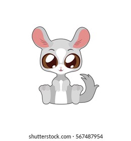 Cute chinchilla vector illustration art in flat color