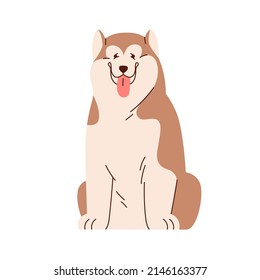 Cute Chinese Alaskan Malamute portrait. Funny canine animal sitting with tongue out. Happy purebred dog. Adorable sweet friendly doggy. Flat vector illustration isolated on white background