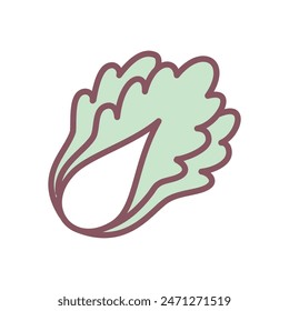 Cute chinese cabbage icon. Hand drawn illustration of a peking cabbage head isolated on a white background. Vector 10 EPS.
