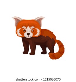 Cute chinese red panda fluffy animal vector Illustration on a white background