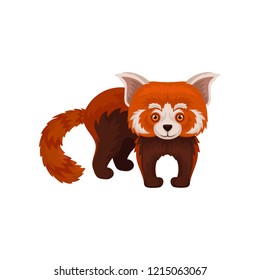 Cute chinese red panda wild animal vector Illustration on a white background