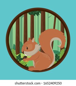 cute chipmunk rodent animal character vector illustration design
