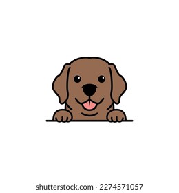 Caricatura de cachorro del recién recuperado del labrador marrón de chocolate, ilustración vectorial