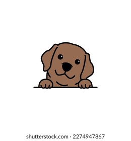 Cute chocolate brown labrador retriever puppy cartoon, vector illustration