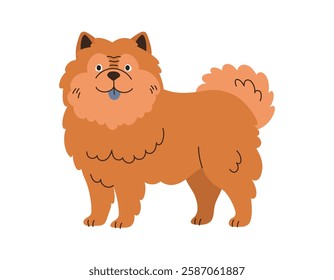 Cute Chow Chow, Dog Standing. Pet, Breed. Isolated Flat Vector Illustration