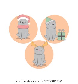 Cute Christmas cat in costume elf, Santa, moose on white background.