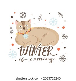 Cute Christmas cat with lettering and decorative seasonal elements. Christmas greeting typography winter is coming. Lovely vector for winter holidays postcard, invitation, sticker etc.
