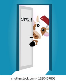 A cute Christmas cow with a red Christmas hat on her head peeks out from behind a half-open door in 2021. 2021 is on the doorstep. New year concept. Suitable for greeting cards. Symbol of the year.