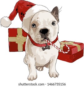 Cute Christmas dogs with Christmas balls and fir cones