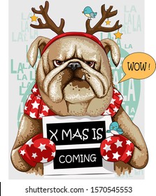 Cute christmas  drawing illustration of a bulldog with nameplate