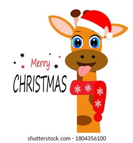 cute christmas giraffe in santa hat,  cartoon vector illustration, 