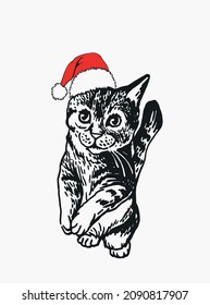 Cute Christmas kitten, fluffy cat in red hat of Santa Claus