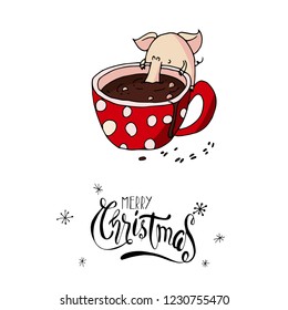 Cute christmas piggy drinking hot chocolate. Symbol of 2019 year. Winter holidays. Christmas and new year calligraphy. Hand written modern brush lettering. Hand drawn design elements. Festive card.