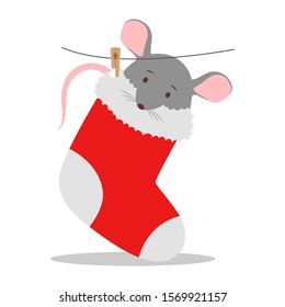 Cute Christmas rat. 2020 year symbol sitting in big red Christmas sock for presents. Isolated vector illustration in flat style