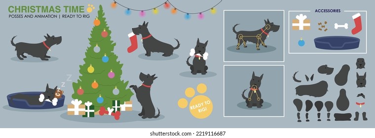 Cute Christmas scene with vector dog broken down ready to animate. Scottie dog, Scottish Terrier rig ready with Christmas accessories and scene. A collection of poses. 