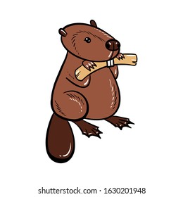 Cute chubby cartoon beaver, little kawaii mascot character. Isolated vector clip art illustration.