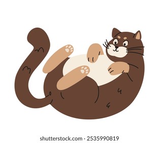 Cute chubby cat playing with his tail laying on back flat vector illustration isolated on white.