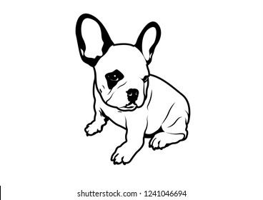 Cute Chubby French Bulldog and His Adorable Rabbit Ears in Black and White Stencil Style. Chubby French Bulldog with adorable rabbit ears in a black and white stencil style.