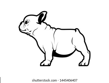 A Cute Chubby Frenchie. French bulldog puppy is standing on the floor in side view. Vector illustration of an adorable French Bulldog puppy standing on the floor in a side view.