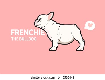 A Cute Chubby Frenchie and Her Fart. Brown French Bulldog puppy is standing on the floor inside view and shows how she exhales.