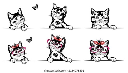 Cute chubby kitten playing and looking at the butterfly. Curious peeking cat face with red polka dot ribbon and dark pink glasses. Vector design monogram silhouette.