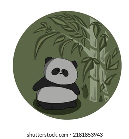 cute chubby panda got lost in bamboo