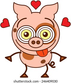 Cute chubby pig with big ears, brown spots, flat cylindrical snout, curly tail and funny bulging eyes while sticking its tongue out, showing red hearts around its head and feeling madly in love