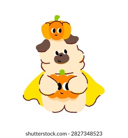 A cute  chubby