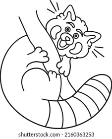 Cute and chubby red panda. Vector line for postcards, for printing, for design, for posters, for decoration. Can be used as stickers or coloring books. As a way to express your emotions.