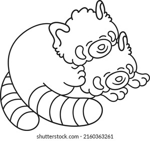 Cute and chubby red panda. Vector line for postcards, for printing, for design, for posters, for decoration. Can be used as stickers or coloring books. As a way to express your emotions.